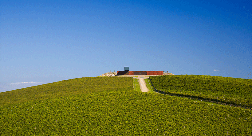 Denton Viewhill Vineyard Cellar Door